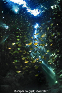 The cave of the golden treasure by Cipriano (ripli) Gonzalez 